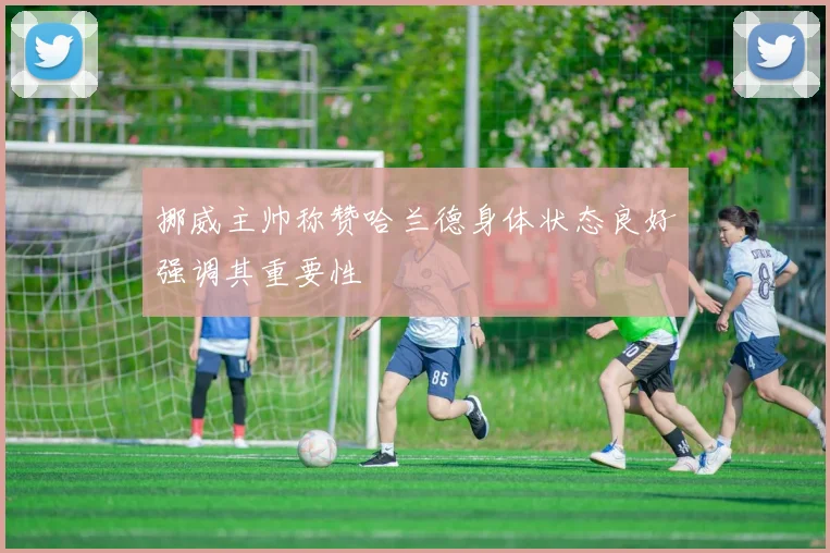 挪威主帅称赞哈兰德身体状态良好强调其重要性